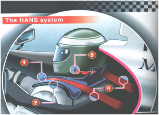Head and Neck Support
